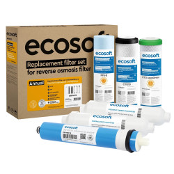 Комплект картриджів Ecosoft Absolute "12 місяців" (CHV6ECOABS)